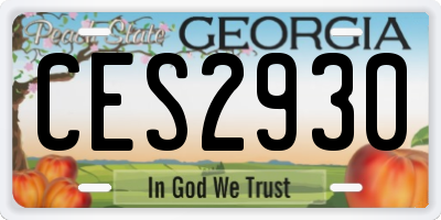 GA license plate CES2930