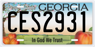 GA license plate CES2931