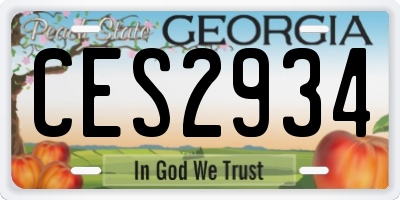 GA license plate CES2934