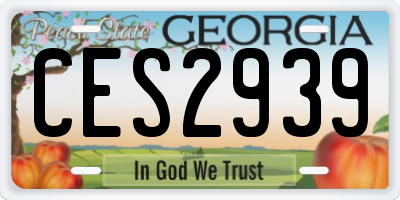 GA license plate CES2939