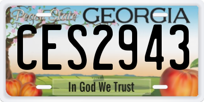 GA license plate CES2943