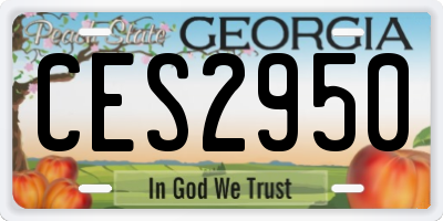 GA license plate CES2950
