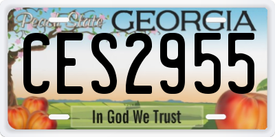 GA license plate CES2955