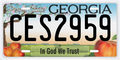 GA license plate CES2959