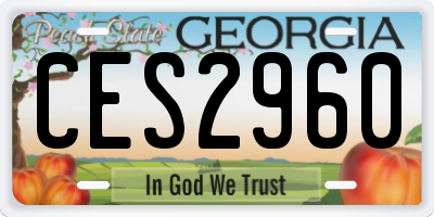 GA license plate CES2960