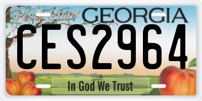 GA license plate CES2964
