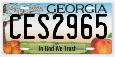 GA license plate CES2965