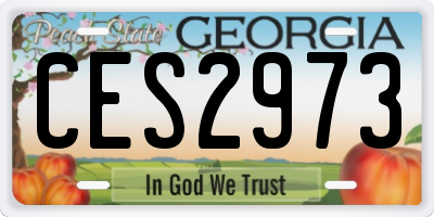 GA license plate CES2973