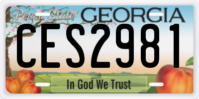 GA license plate CES2981