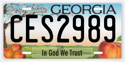 GA license plate CES2989