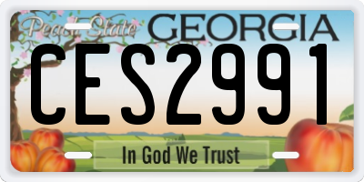 GA license plate CES2991