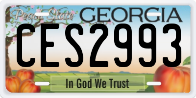 GA license plate CES2993
