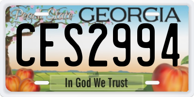GA license plate CES2994