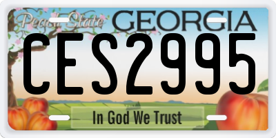 GA license plate CES2995