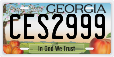 GA license plate CES2999