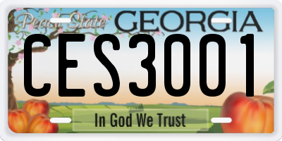 GA license plate CES3001