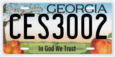 GA license plate CES3002