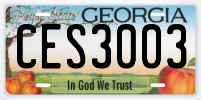 GA license plate CES3003