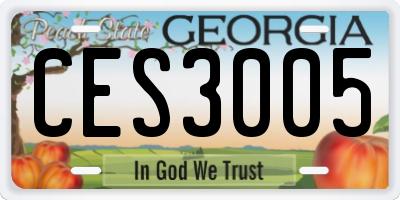 GA license plate CES3005