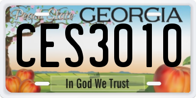 GA license plate CES3010