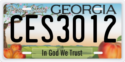 GA license plate CES3012