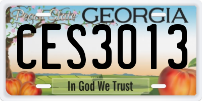 GA license plate CES3013