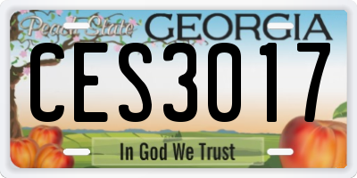 GA license plate CES3017