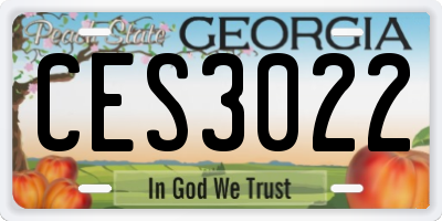 GA license plate CES3022