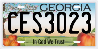 GA license plate CES3023