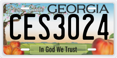 GA license plate CES3024