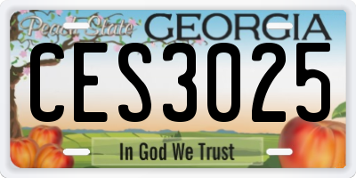 GA license plate CES3025