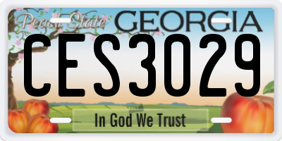 GA license plate CES3029