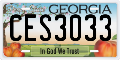 GA license plate CES3033