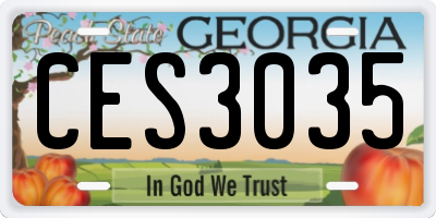 GA license plate CES3035