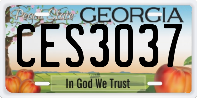 GA license plate CES3037