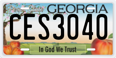 GA license plate CES3040