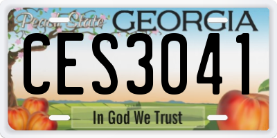 GA license plate CES3041