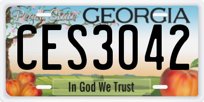 GA license plate CES3042