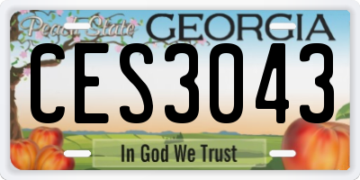 GA license plate CES3043