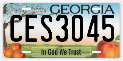 GA license plate CES3045