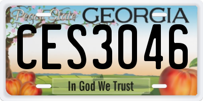 GA license plate CES3046