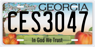 GA license plate CES3047