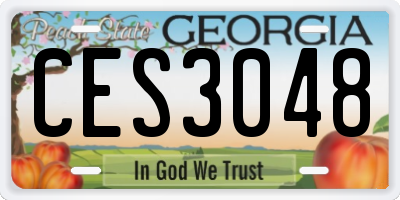 GA license plate CES3048