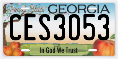GA license plate CES3053
