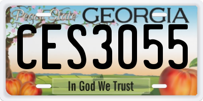 GA license plate CES3055