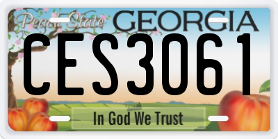 GA license plate CES3061