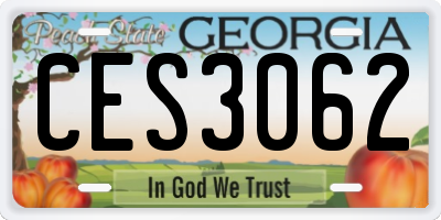 GA license plate CES3062