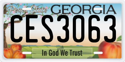 GA license plate CES3063