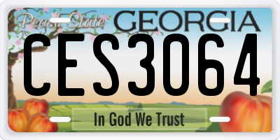 GA license plate CES3064