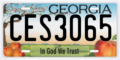 GA license plate CES3065